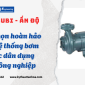 Bơm Lubi – Lựa chọn hoàn hảo cho hệ thống bơm nước dân dụng và công nghiệp